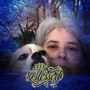 Meet your Posher, Teresa